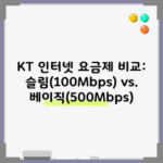 KT 인터넷 요금제 비교: 슬림(100Mbps) vs. 베이직(500Mbps)