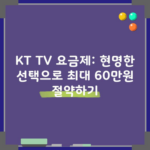 KT TV 요금제: 현명한 선택으로 최대 60만원 절약하기