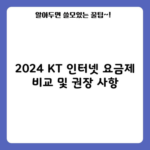 2024 KT 인터넷 요금제 비교 및 권장 사항