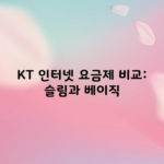 KT 인터넷 요금제 비교: 슬림과 베이직