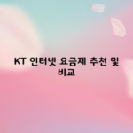 KT 인터넷 요금제 추천 및 비교