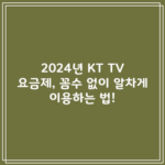 2024년 KT TV 요금제, 꼼수 없이 알차게 이용하는 법!