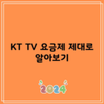 KT TV 요금제 제대로 알아보기