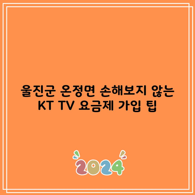 울진군 온정면 손해보지 않는 KT TV 요금제 가입 팁