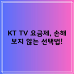 KT TV 요금제, 손해 보지 않는 선택법!