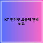 KT 인터넷 요금제 완벽 비교