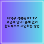 대덕구 석봉동 KT TV 요금제 안내: 손해 없이 합리적으로 가입하는 방법