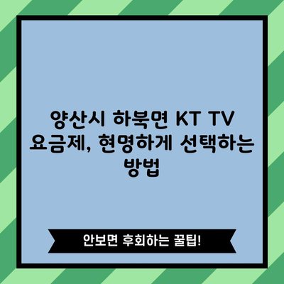 양산시 하북면 KT TV 요금제, 현명하게 선택하는 방법