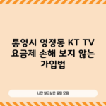 통영시 명정동 KT TV 요금제 손해 보지 않는 가입법