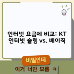 인터넷 요금제 비교: KT 인터넷 슬림 vs. 베이직