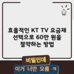 효율적인 KT TV 요금제 선택으로 60만 원을 절약하는 방법