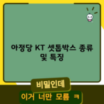 아정당 KT 셋톱박스 종류 및 특징