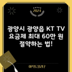 광양시 광양읍 KT TV 요금제 최대 60만 원 절약하는 법!