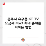 공주시 유구읍 KT TV 요금제 비교: 최대 손해를 피하는 방법