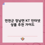 연천군 장남면 KT 인터넷 상품 추천 가이드