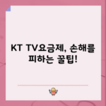 KT TV요금제, 손해를 피하는 꿀팁!