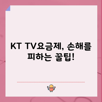 KT TV요금제, 손해를 피하는 꿀팁!