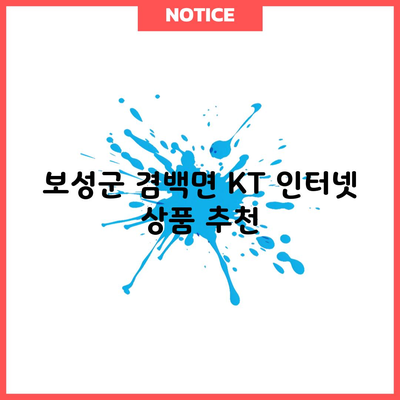 보성군 겸백면 KT 인터넷 상품 추천