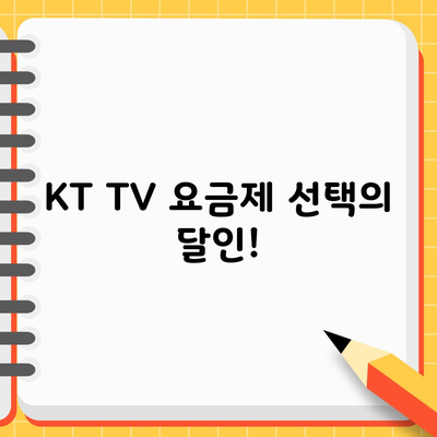 KT TV 요금제 선택의 달인!