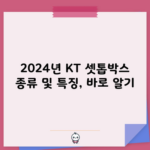 2024년 KT 셋톱박스 종류 및 특징, 바로 알기