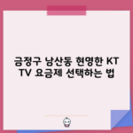 금정구 남산동 현명한 KT TV 요금제 선택하는 법