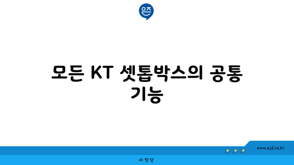 모든 KT 셋톱박스의 공통 기능