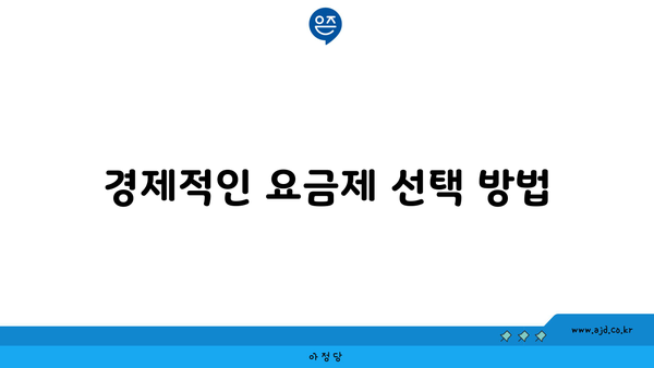 경제적인 요금제 선택 방법