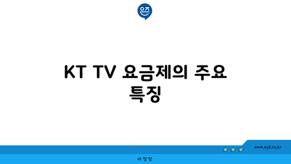 KT TV 요금제의 주요 특징