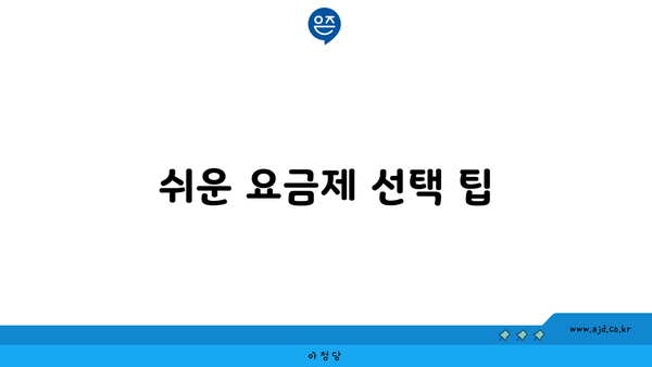 쉬운 요금제 선택 팁