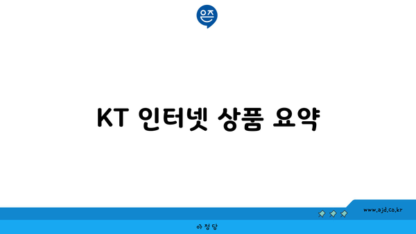 KT 인터넷 상품 요약