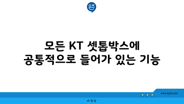 모든 KT 셋톱박스에 공통적으로 들어가 있는 기능