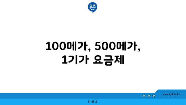 100메가, 500메가, 1기가 요금제