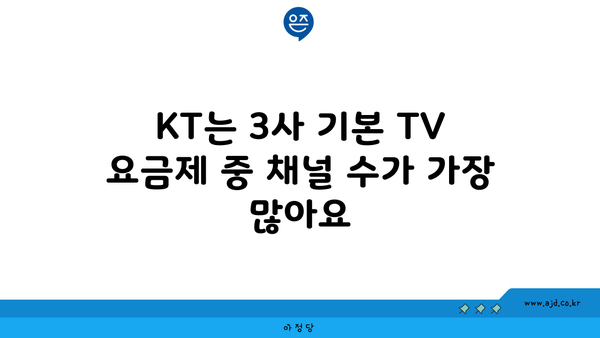 KT는 3사 기본 TV 요금제 중 채널 수가 가장 많아요