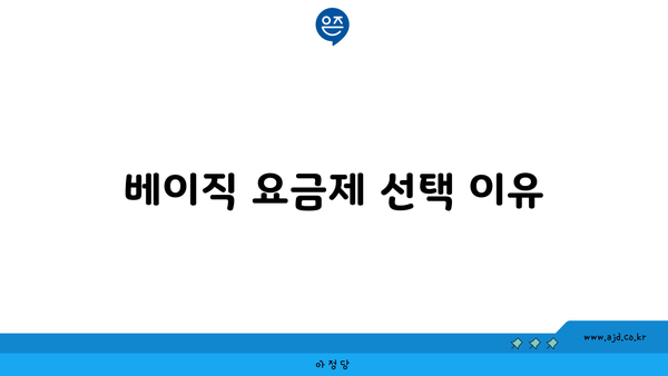 베이직 요금제 선택 이유