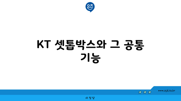 KT 셋톱박스와 그 공통 기능