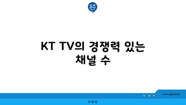 KT TV의 경쟁력 있는 채널 수