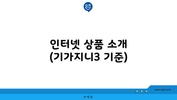 인터넷 상품 소개 (기가지니3 기준)