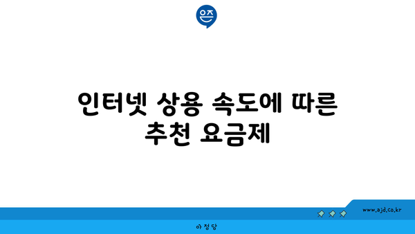 인터넷 상용 속도에 따른 추천 요금제