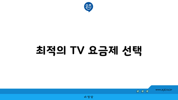 최적의 TV 요금제 선택