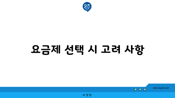 요금제 선택 시 고려 사항