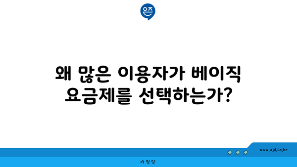 왜 많은 이용자가 베이직 요금제를 선택하는가?