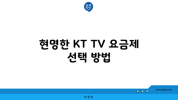 현명한 KT TV 요금제 선택 방법