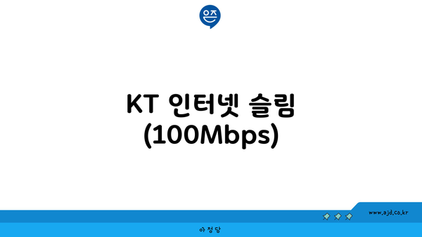 KT 인터넷 슬림 (100Mbps)