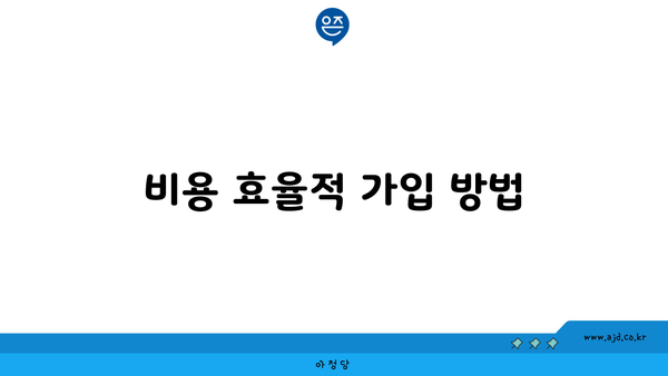 비용 효율적 가입 방법