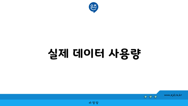 실제 데이터 사용량