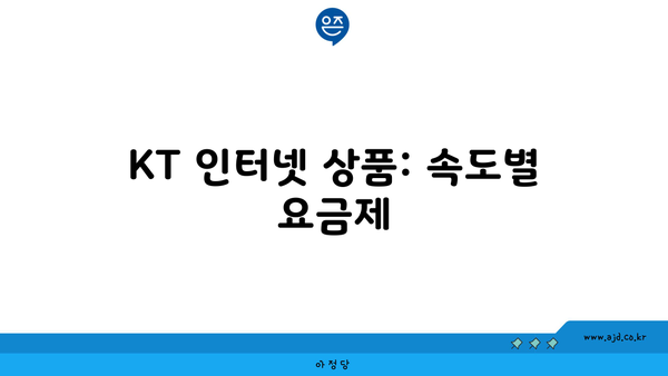 KT 인터넷 상품: 속도별 요금제