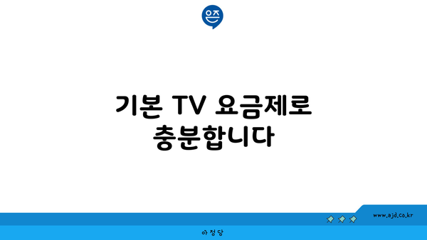 기본 TV 요금제로 충분합니다