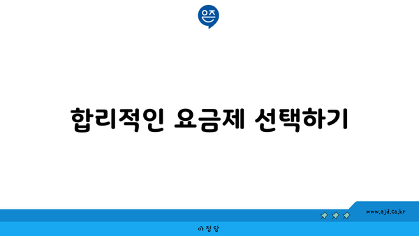 합리적인 요금제 선택하기