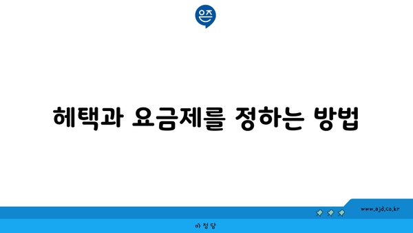 헤택과 요금제를 정하는 방법