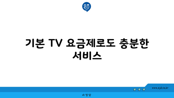 기본 TV 요금제로도 충분한 서비스